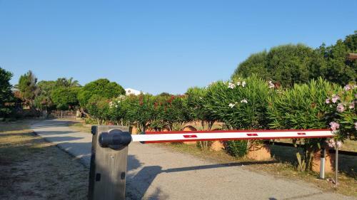 Villa La Liccia