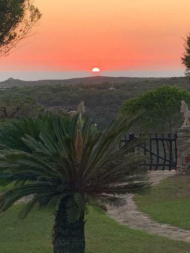 Villa La Sarra