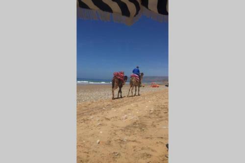 Apartamento Warm And Bright Flat In Agadir