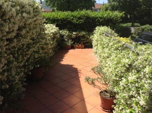 Apartamento Il Viale