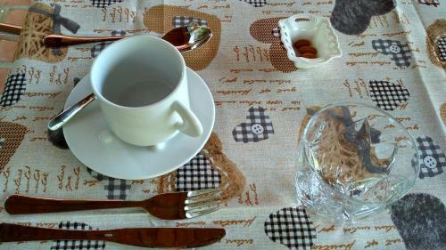 B&B Dama