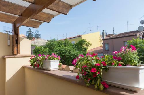 Hostal M�nta Rooms Experience