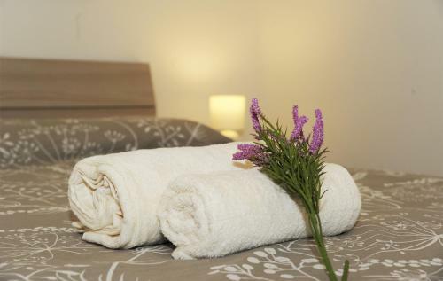 Lovely Piazza Santa Maria Apartment