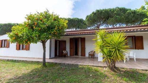 Villa Luisa - Your Holiday In Sardinia On A Budget