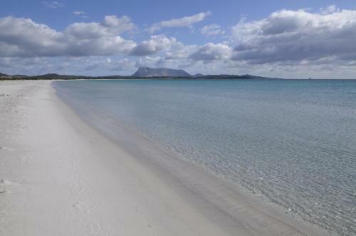 Le Villette Di San Teodoro
