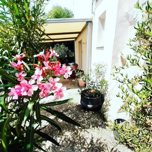 Bed & Breakfast Sole E Sale 2