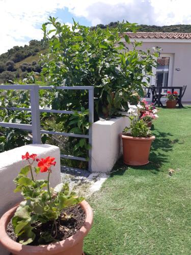Bed & Breakfast Sole E Sale 2