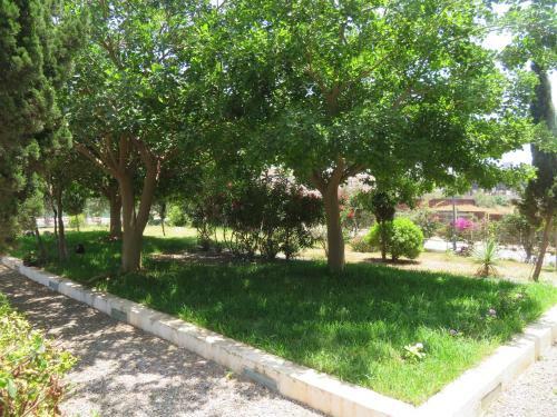 Hotel Ibis Oran Les Falaises