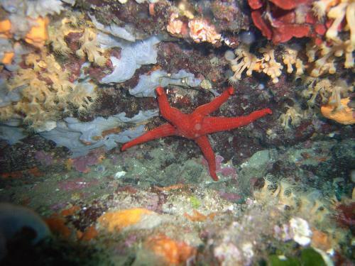 Apartamento Villaggio Est