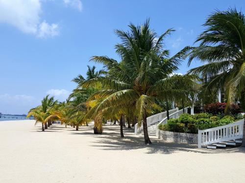 The Placencia Hotel And Residences