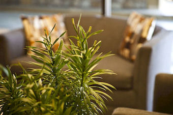 Golden Green Hotel - Charlotte