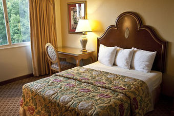 Golden Green Hotel - Charlotte