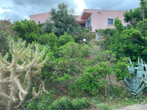 Ferienhaus Panorama, San Teodoro, Isuledda