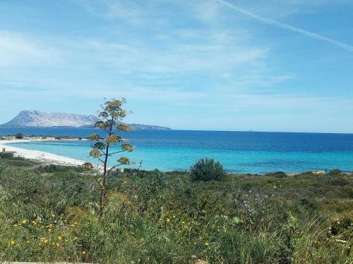 Casa Vacanze San Teodoro