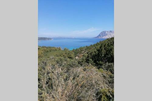 San Teodoro - Casa Le Tre Spighe