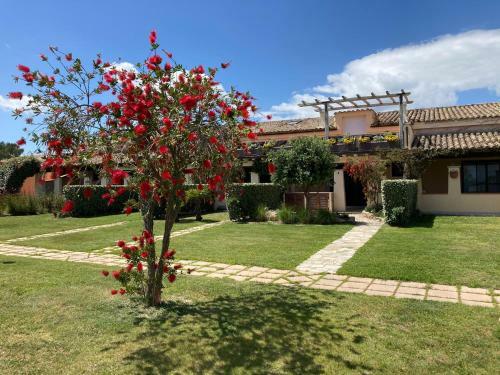 Visit San Teodoro Due