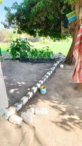 Salatoos Family House And Mango Camp