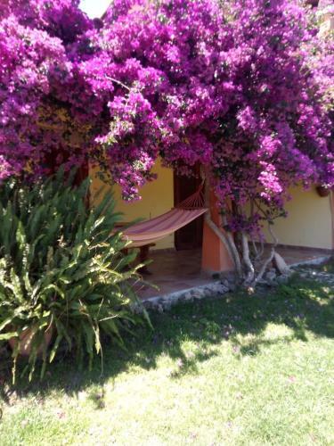 Casa Adri