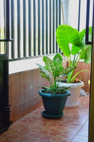 Apartamento Cozy Nest Milimani