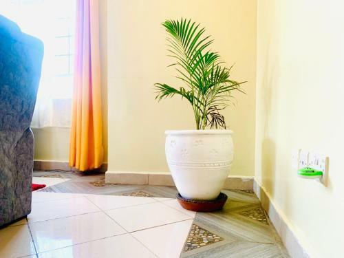 Yonga Apartment