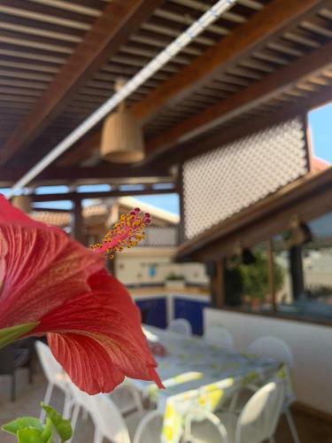 Apartamento Casa Cristina