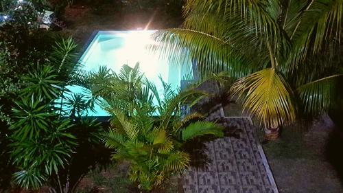 Aux Plaisirs De La Vie