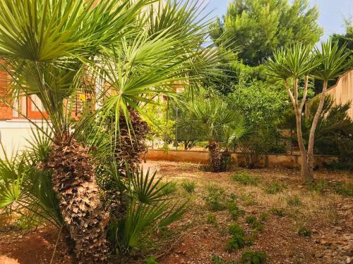 Apartamento Casa Relax San Vito