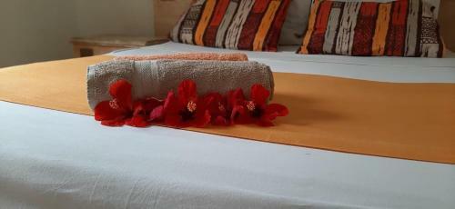 Apartamento Noele