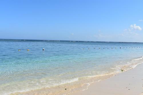 Sandy Shore