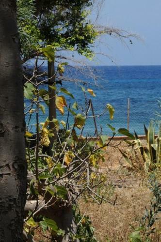 Casa Aisha Con Ampio Giardino Sul Mare