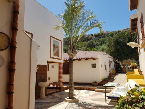 Apartamento Federico Re Residence