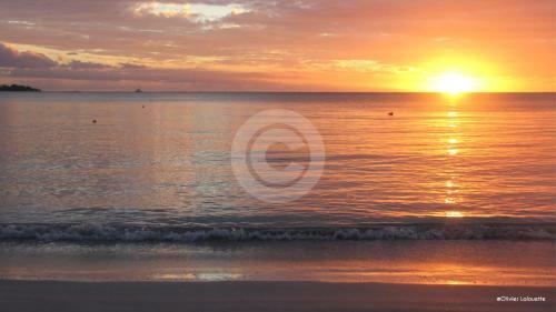 Fantastic Villavacances