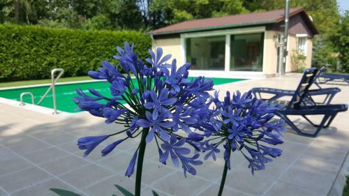 Hostal Apart Pension Babelsberg