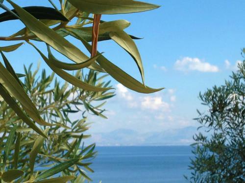 Apartamento Zefiro - San Vito Lo Capo