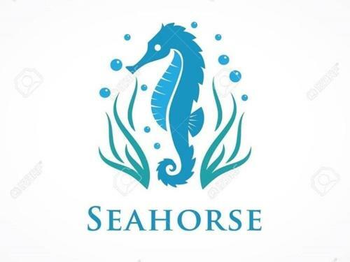 Sea Horse