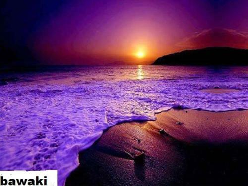 Hotel Bawaki Beach Resort