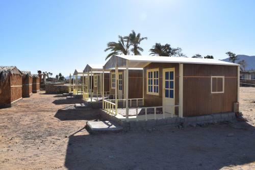 Sina Star Camp