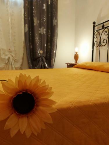 Villa Andromaca