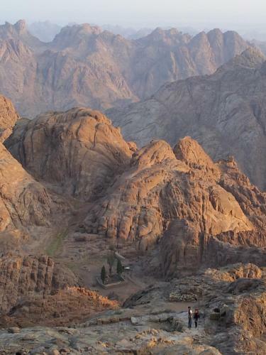 Think Love On Red Sea