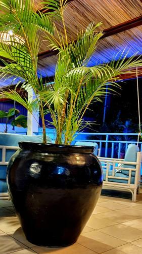 Villa Des Iles 3
