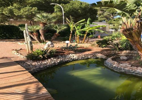 Apartamento Domus Holidays Beach