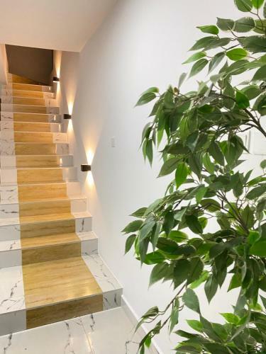 Luxury Urban Villa 3v