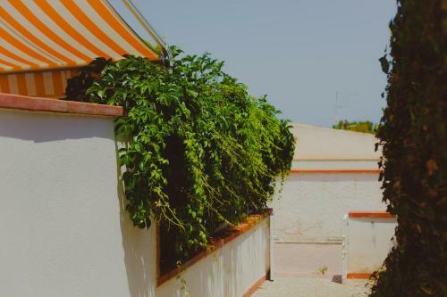 Apartamento Sanvitotour - Terrazza Sul Mare