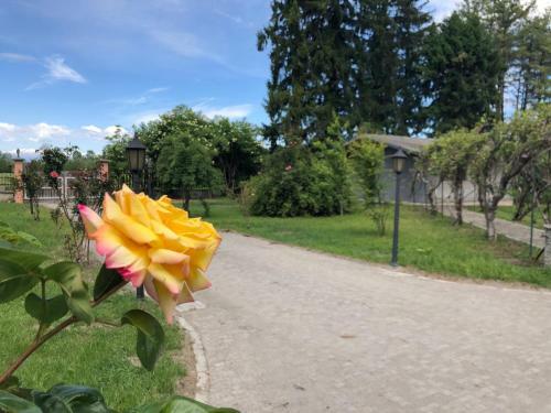 Hostal Villa Bonelli Bed & Fest