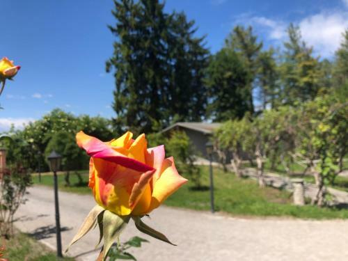 Hostal Villa Bonelli Bed & Fest