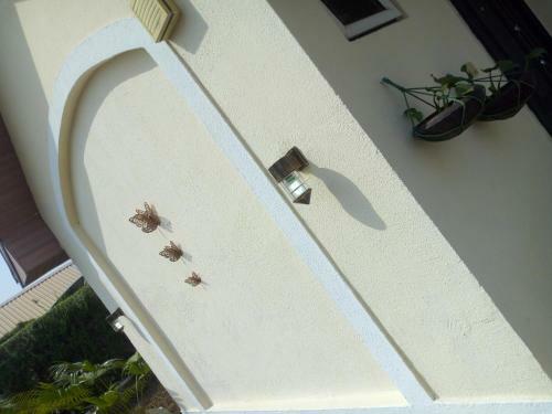 Maryland Shortlet Apartments, Maitama