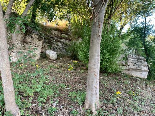 Il Casale Delle Mura