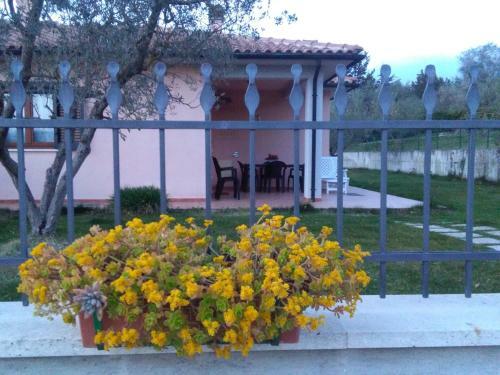 Agroturismo Residence Ai Campi Da Golf Saturnia