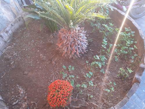 Bed & Breakfast Appartamento House Ida