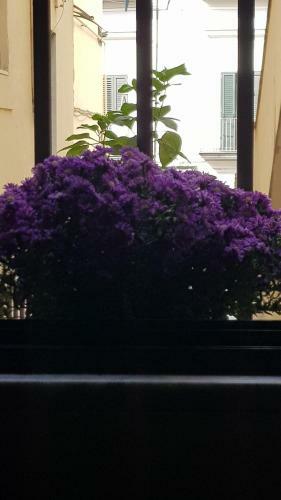 Apartamento Il Giardino Sul Corso